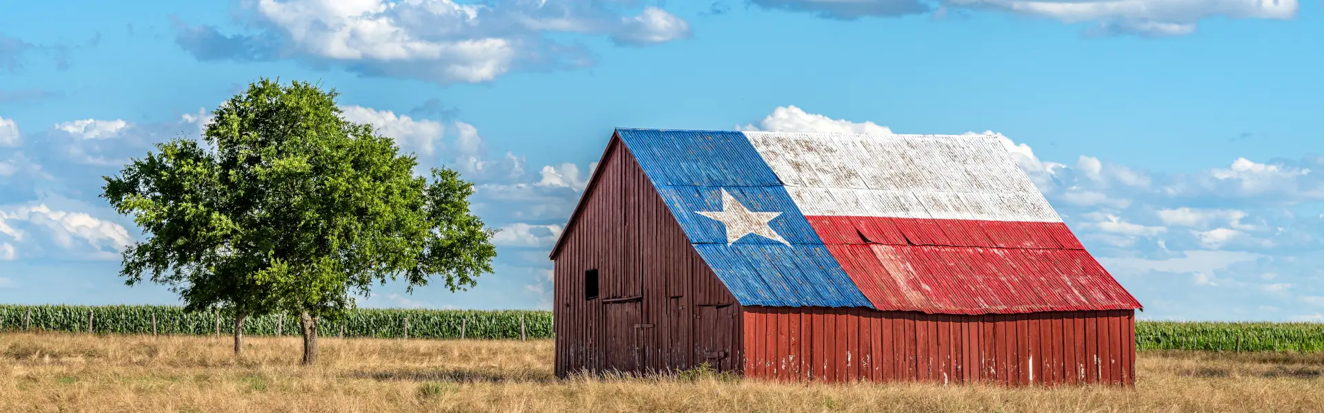 free daily Texas news newsletter